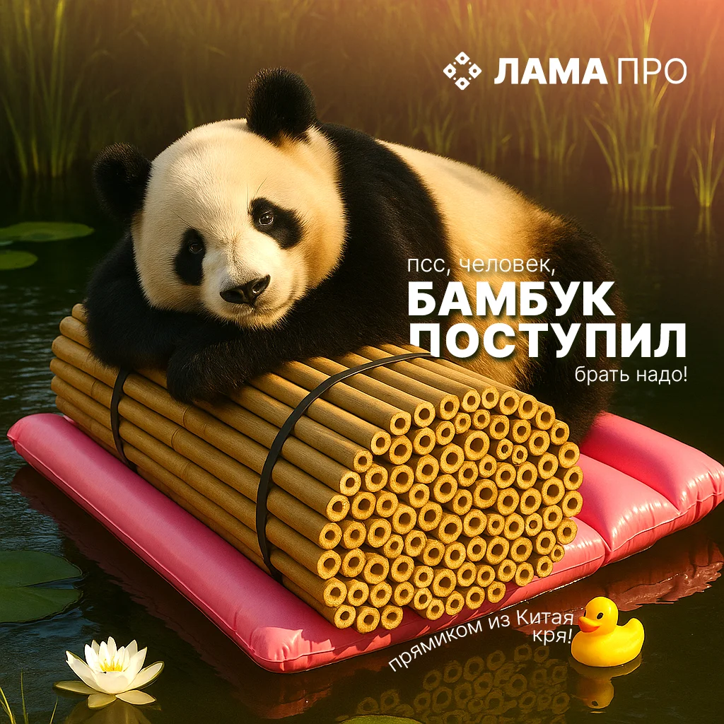 Бамбук из Китая - ЛУЧШИЙ СОРТ! 